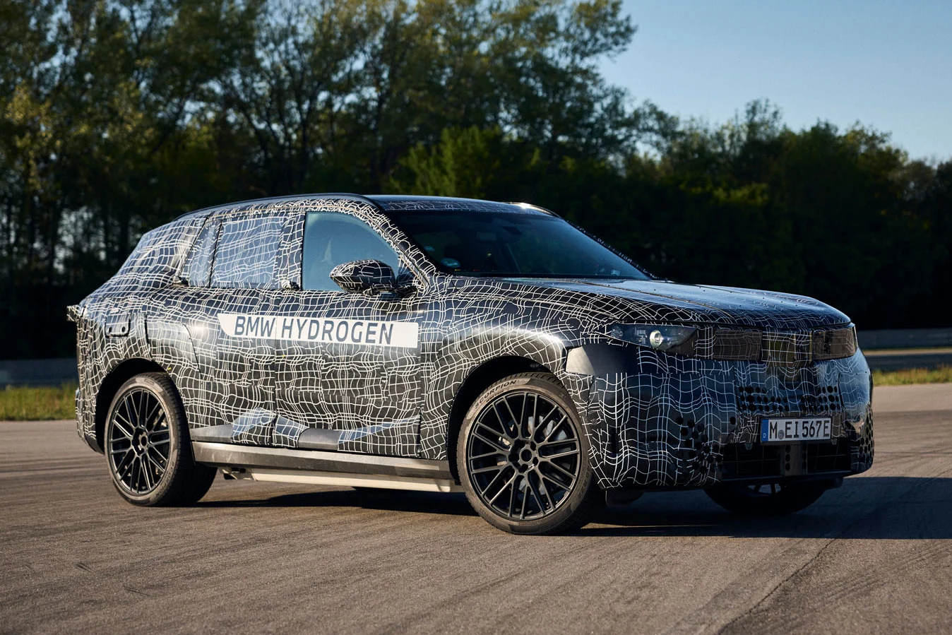 BMW Group sales 2025, MINI sales growth, BMW electric vehicles, Rolls-Royce deliveries, automotive market China, plug-in hybrid sales, BMW M performance 4