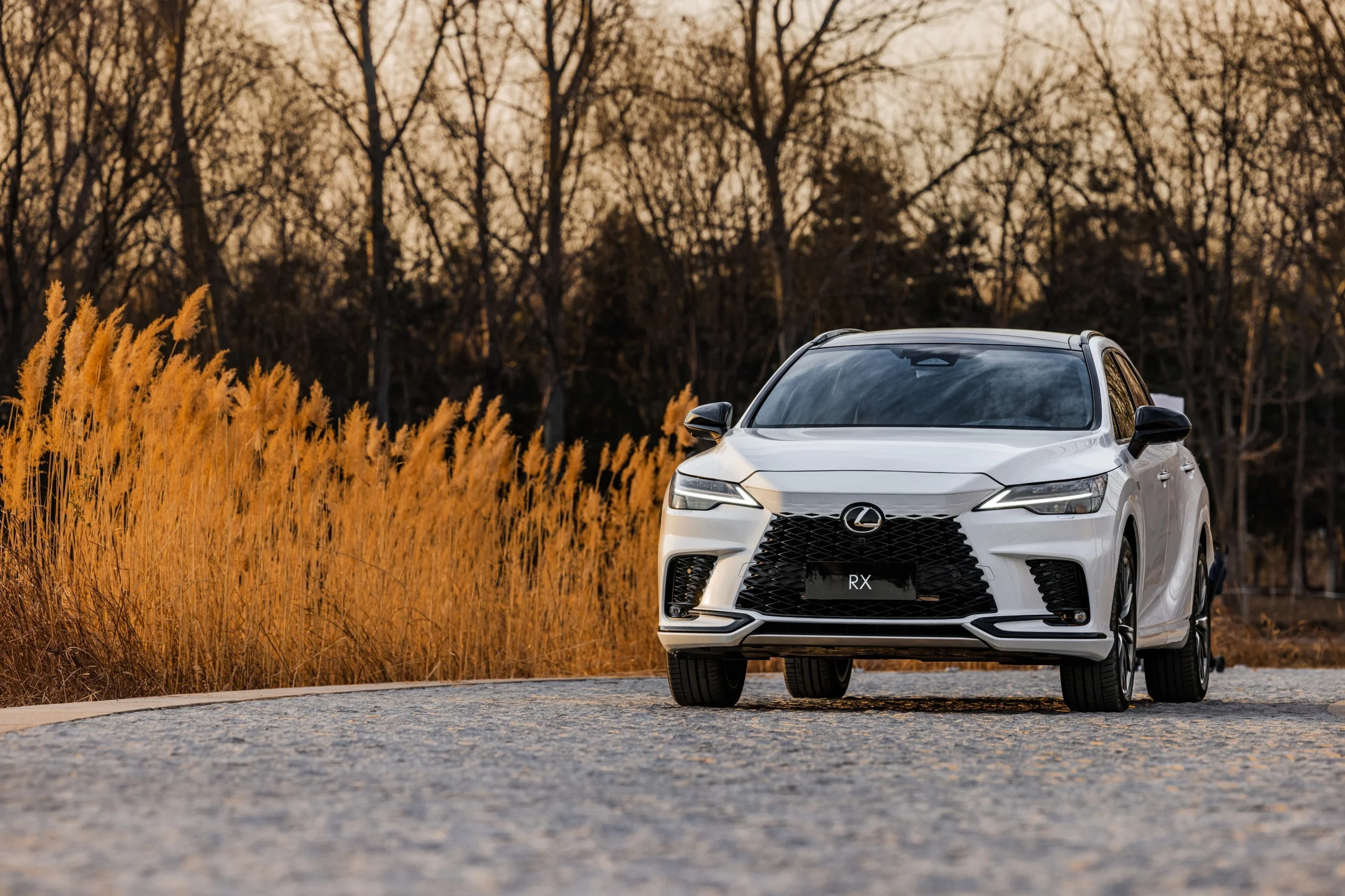 Lexus recall Vietnam, Lexus RX recall, Lexus LX recall, parking assist software, vehicle safety recall, Toyota Vietnam, automotive recall 2