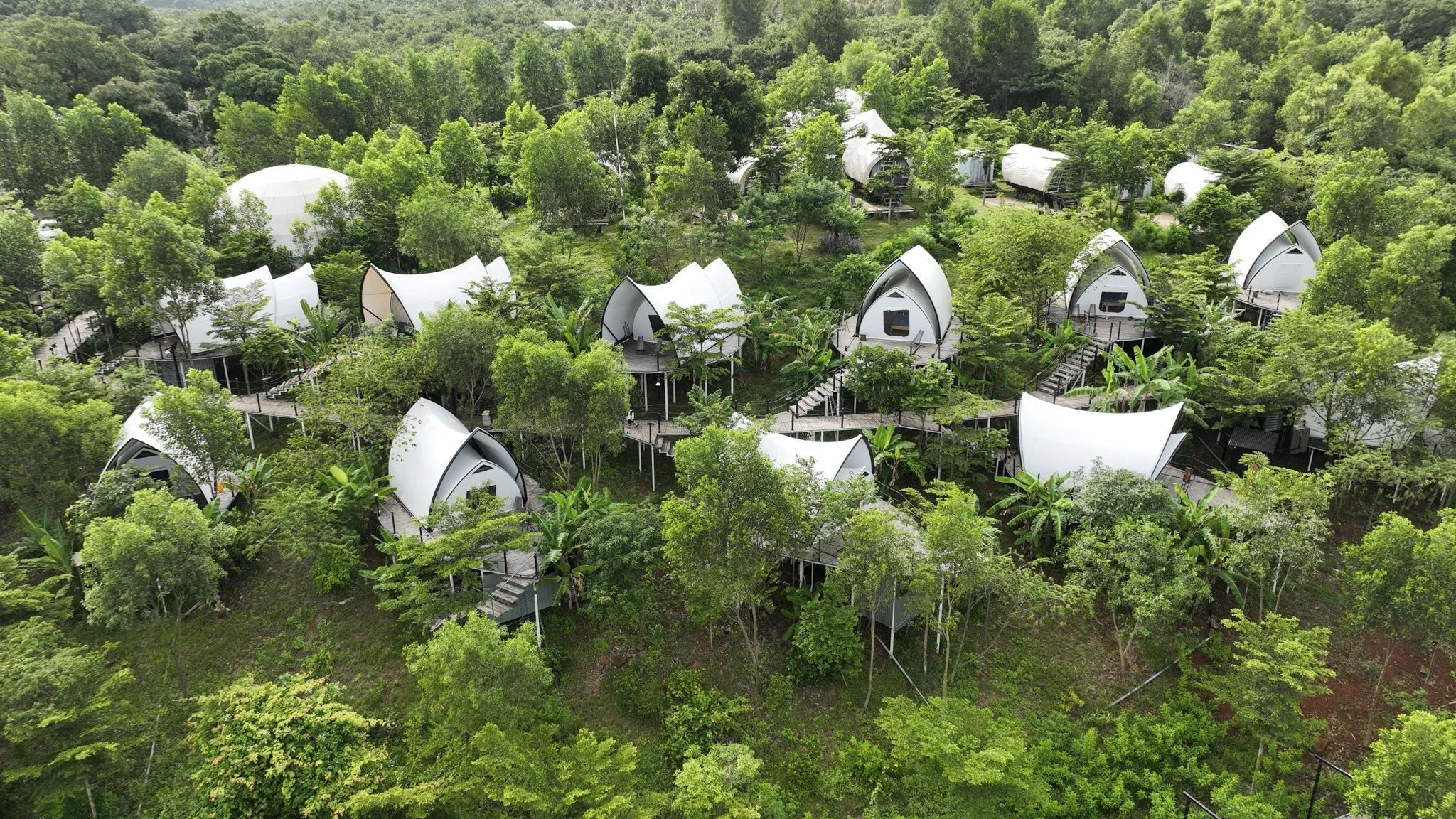 New Year's road trip Vietnam, day trips Ho Chi Minh City, short road trips Vietnam, family road trip Vietnam, SUV for day trips, Vietnam road travel, holiday car travel 4