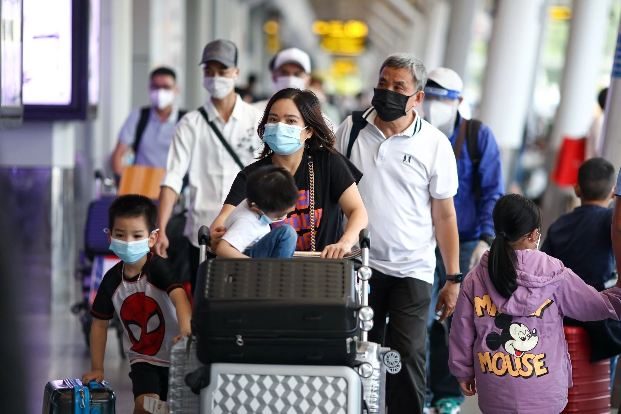 Tet travel cost, fly vs drive Vietnam, Ho Chi Minh to Hanoi flight, road trip Tet Vietnam, travel savings Tet, Vietnam New Year travel, driving cost Vietnam, flight price Tet 2