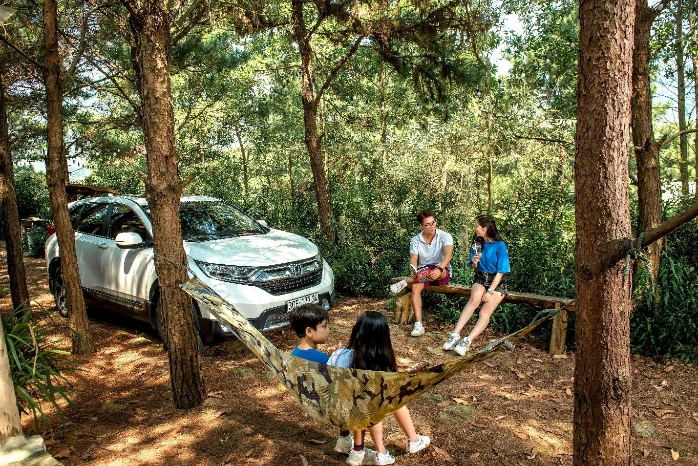 Tet travel Vietnam, driving vs flying, Vietnam road trip cost, Lunar New Year transportation, cheap travel Tet, Vietnam toll fees, fuel cost Vietnam 4