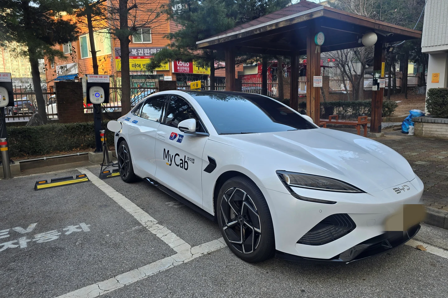 Chinese EVs, South Korea auto market, BYD Korea, EV subsidies, Tesla Model Y, electric vehicle trends, Korean automotive industry 3