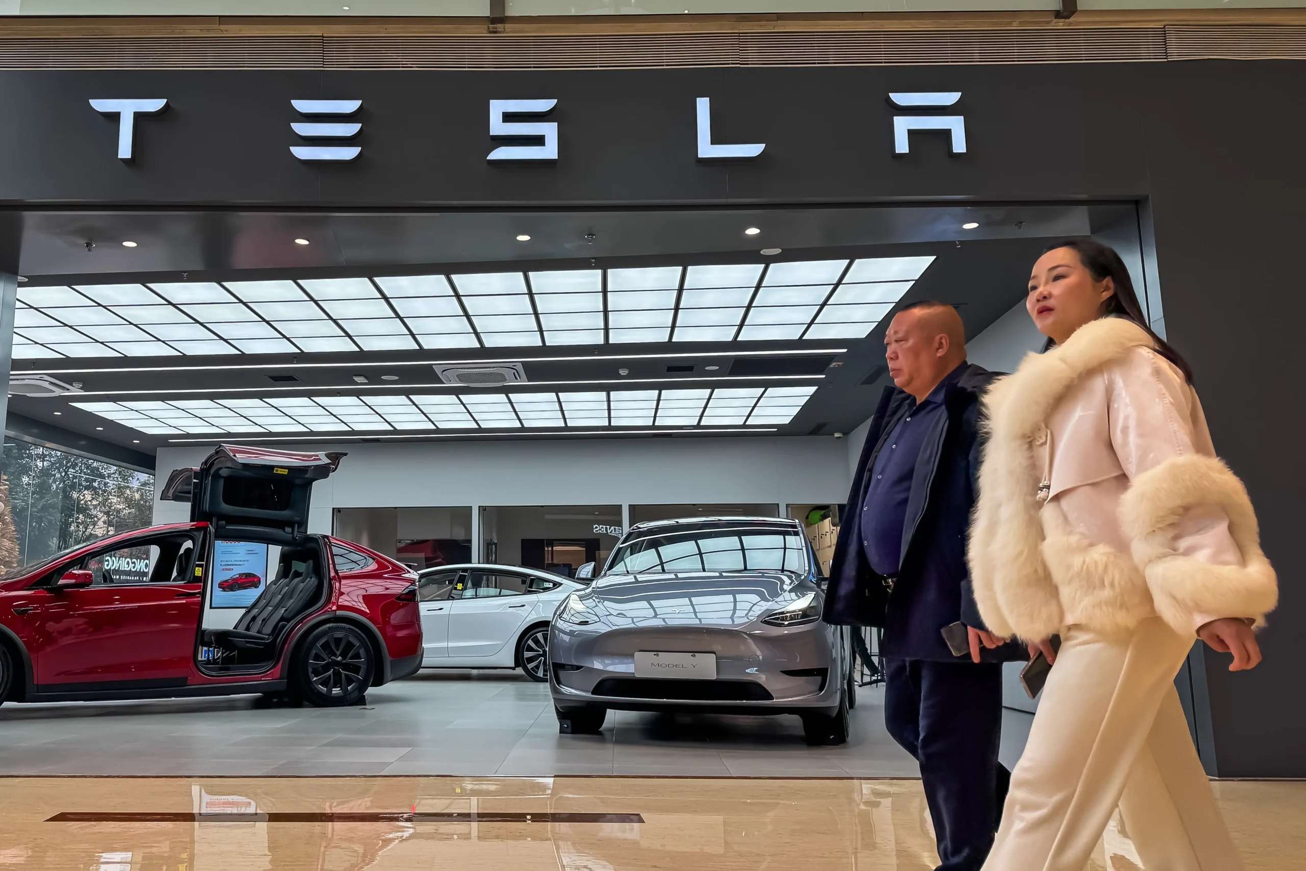 Tesla affordable EV, Tesla profit margins, electric vehicle market, BYD vs Tesla, EV demand 2024, Elon Musk strategy 6