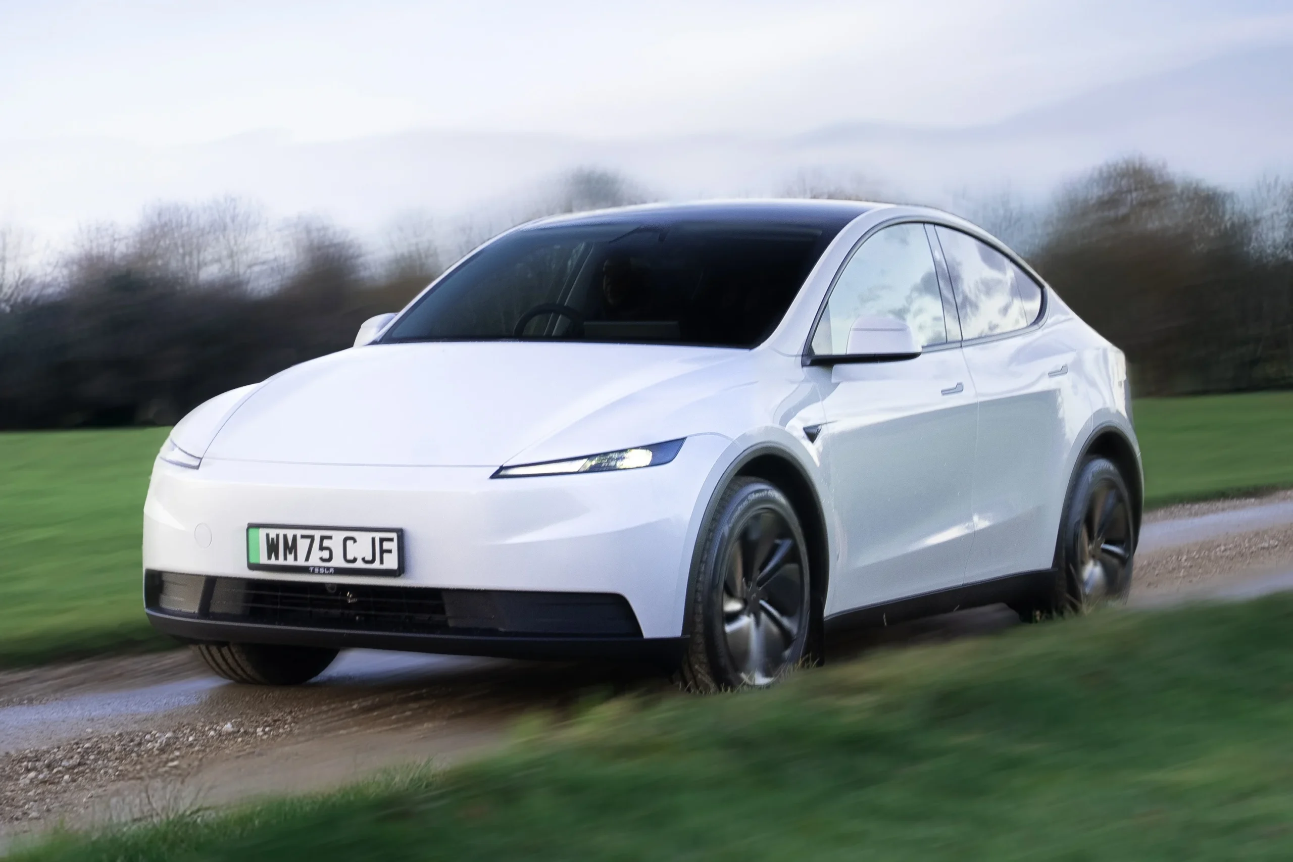 Tesla affordable EV, Tesla profit margins, electric vehicle market, BYD vs Tesla, EV demand 2024, Elon Musk strategy 4