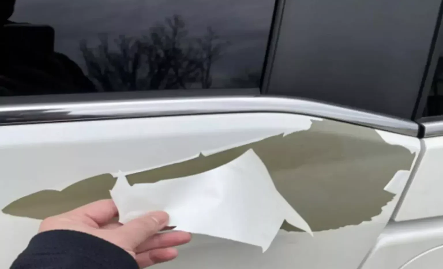 Honda paint peeling lawsuit, Honda white paint defect, Acura paint delamination, car paint corrosion, Honda class action, vehicle paint failure 2