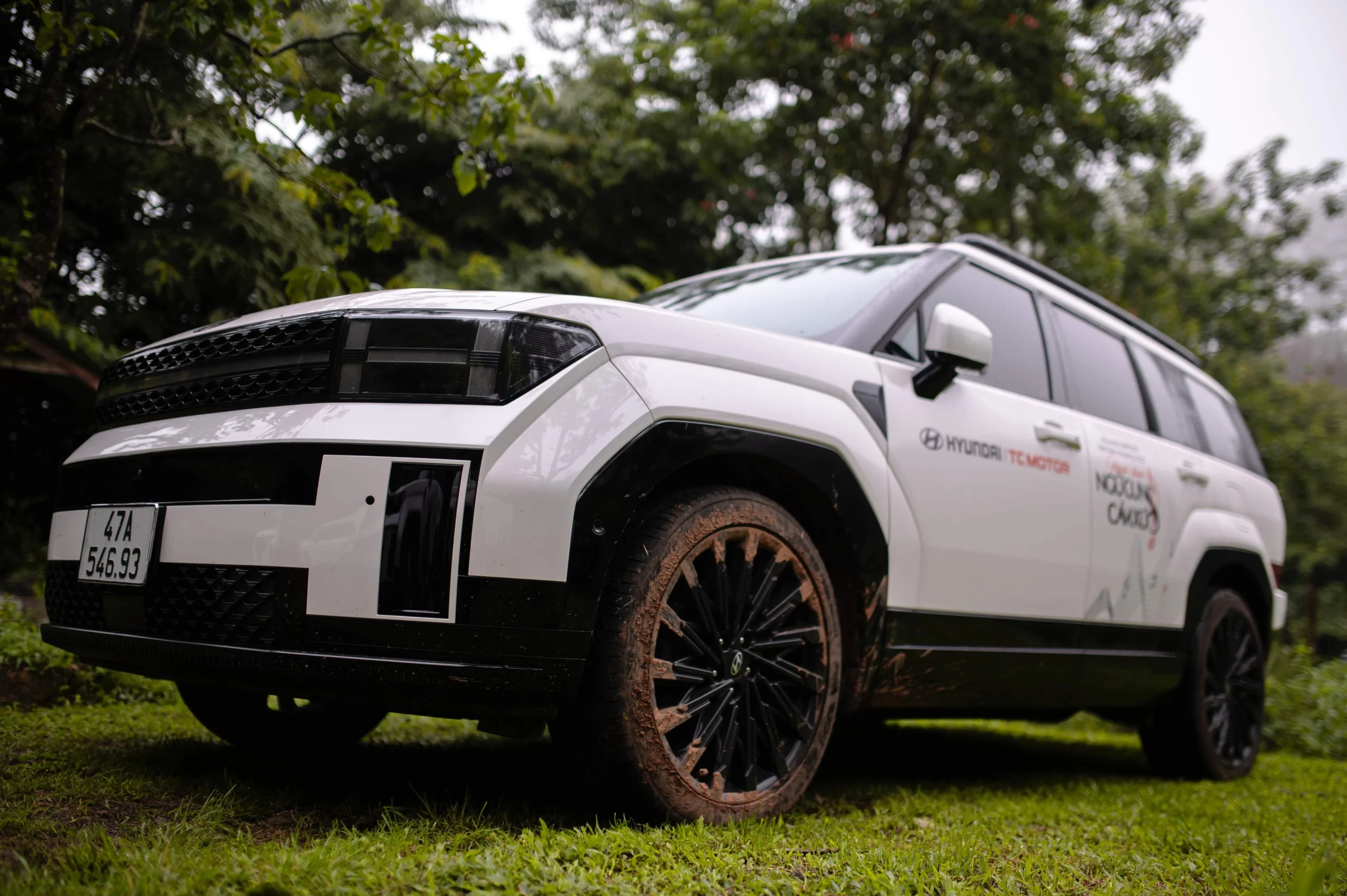 Ford Everest, D-size SUV, electric SUV, VinFast VF8, Hyundai Santa Fe, Toyota Fortuner, Geely Monjaro, BYD Sealion 8 3