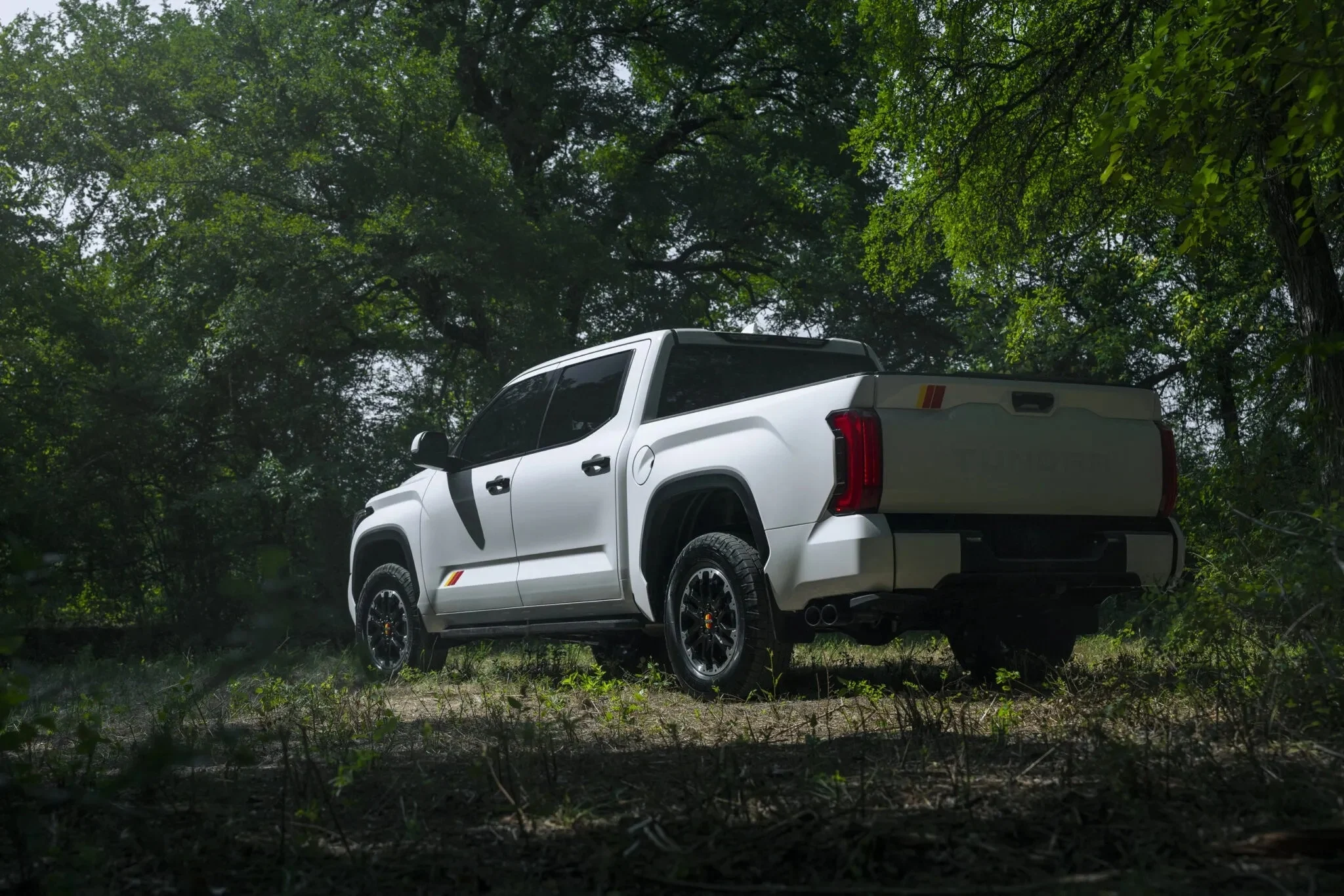 Toyota Tundra, Nissan Murano, US assembled cars, Japan car market, vehicle quality warning, import cars Japan, automotive standards 2