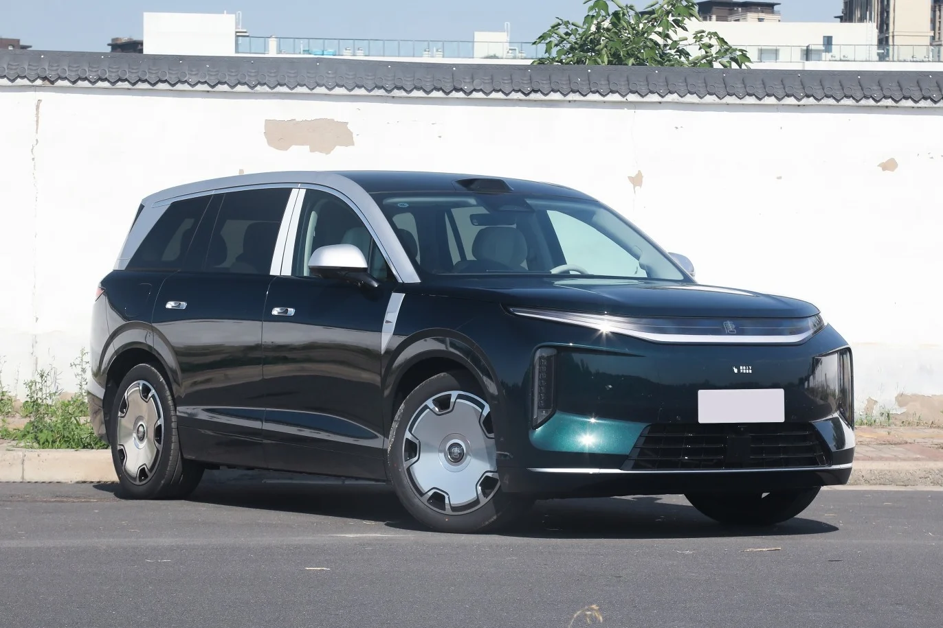 large SUV China, Chinese SUV market, luxury SUV China, BYD Great Tang, Xpeng GX, Chinese automotive industry, EV SUV China, automotive profit race 2